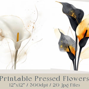 Fleurs pressées imprimables Cala. Fleurs transparentes pressées numériques, téléchargement immédiat. 20 jpg, sublimation, scrapbooking, belle image d'art mural