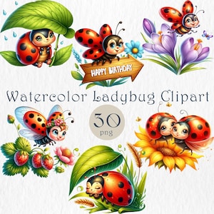Clipart de coccinelle mignonne aquarelle. Clipart baby shower. Faire-part d'anniversaire bricolage. Insecte mignon 30 PNG. Imprimables de fête d'enfants. Téléchargement instantané