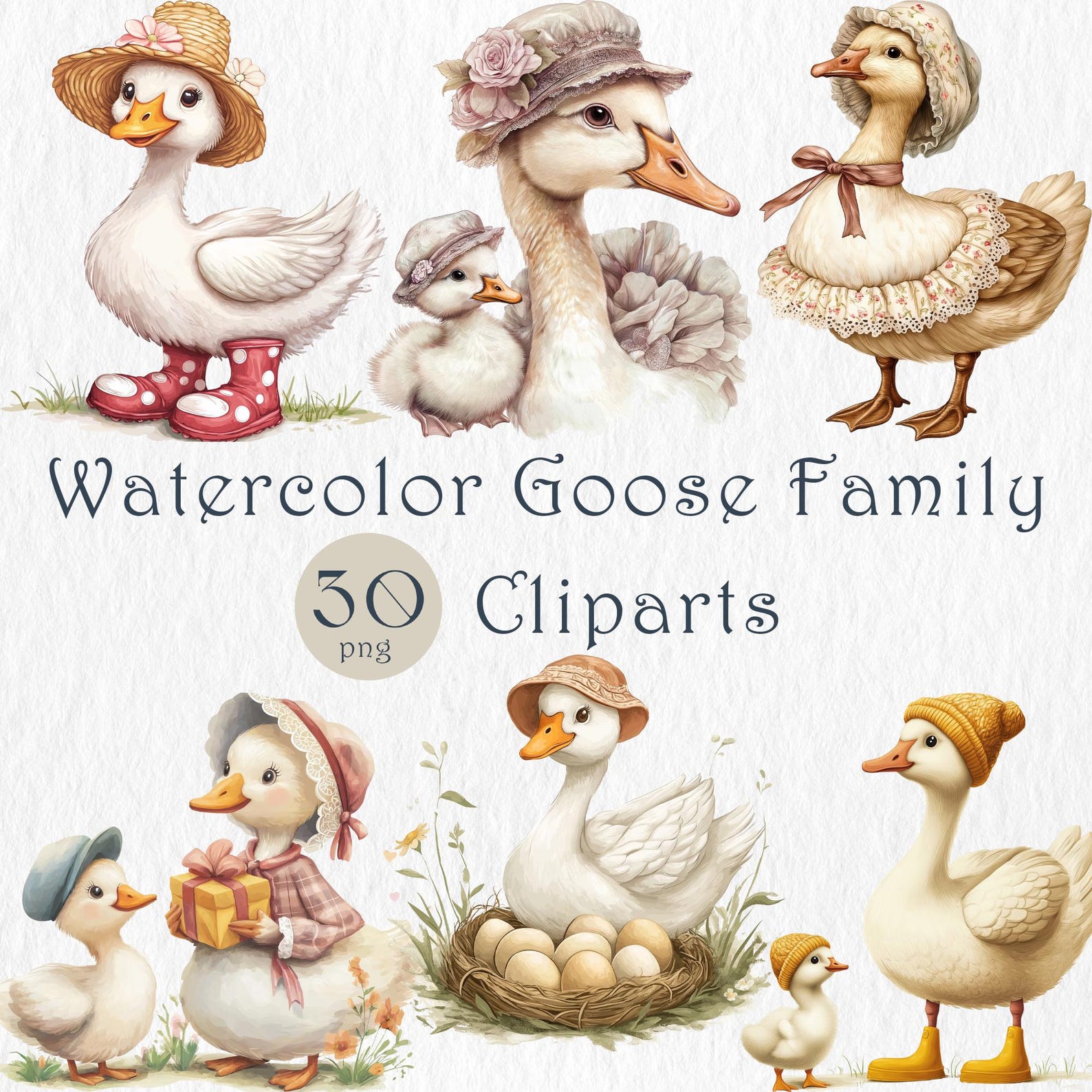 Watercolor Goose Family Clipart Set. Cute Vintage Goose Pngs. Farm ...