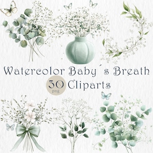 Baby's Breath bloemen clipartset. Aquarel gipskruid. Boho bruiloft bloemen. Digitaal botanisch boeket. Gebladertegroen. Direct downloaden