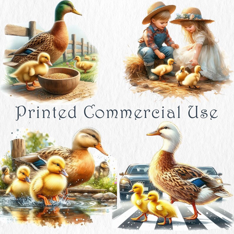Duck Family Clipart – 20 PNG. Cute Ducklings & Ducks Illustrations ...
