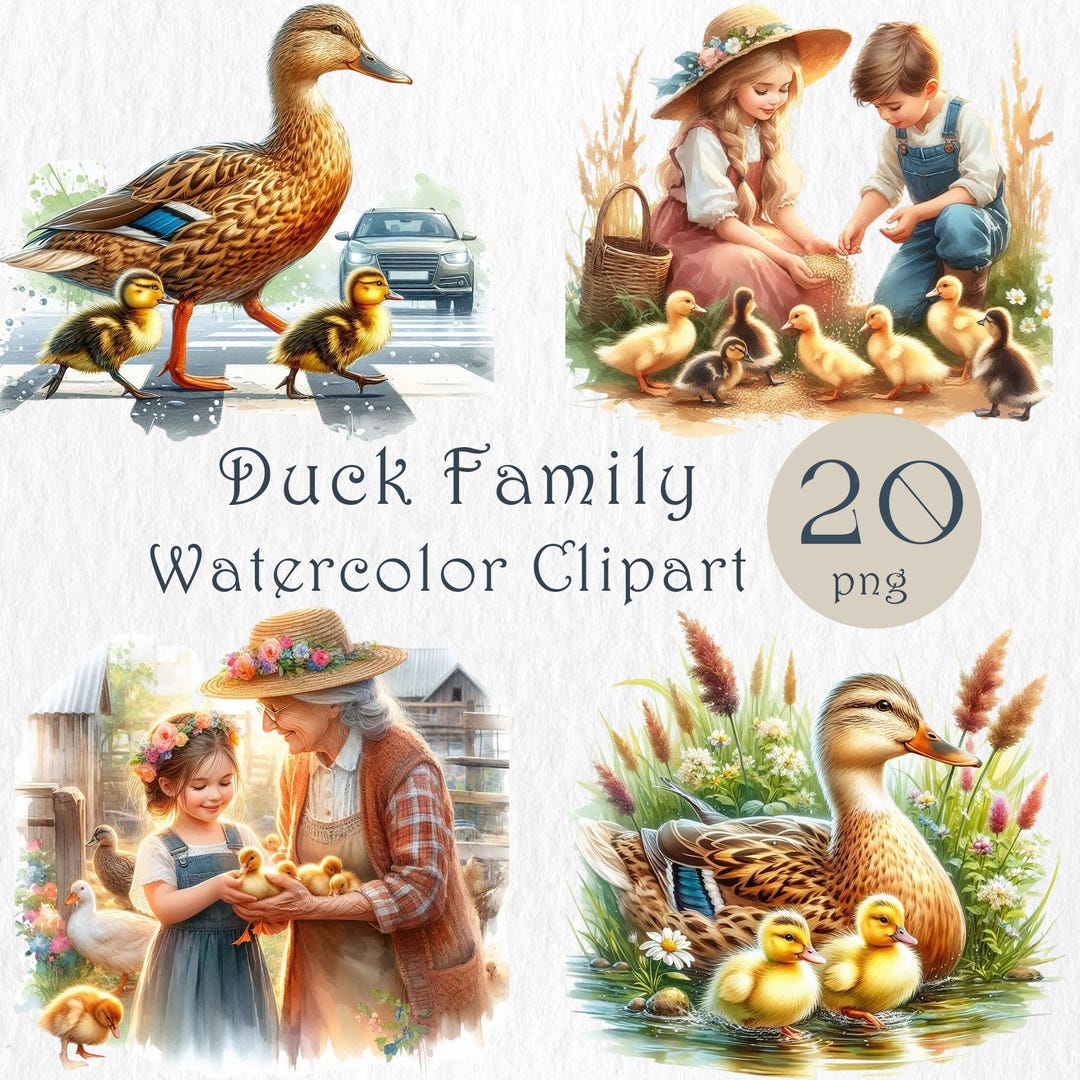 Duck Family Clipart – 20 PNG. Cute Ducklings & Ducks Illustrations ...