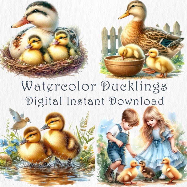 Duck Family Clipart – 20 PNG. Cute Ducklings & Ducks Illustrations ...