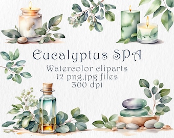 Eucalyptus SPA watercolor cliparts. Eucalyptus spa products, healthy lifestyle, digital downloads. Eucalyptus SPA cliparts printable, 12 png