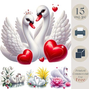 Clipart de cygnes mignons. Art numérique cygnes romantiques avec coeurs. Décoration de la Saint-Valentin. Couple de cygnes, oiseaux d'amour Clipart anniversaire de mariage