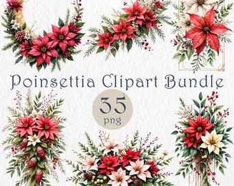 Poinsettia Clipart Bundle, Christmas Flowers Watercolor PNG, Holiday Floral Clipart, Winter Bouquet , Xmas Decor