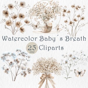 Conjunto de imágenes prediseñadas de Aliento de Bebé en acuarela. PNG floral neutro y suave. Delicadas flores en blanco ruborizado para manualidades, tarjetas, invitaciones, álbumes de recortes y bodas.