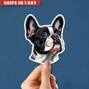 Cute French Bulldog Dog Sticker, Dog Lover Gift, Cute Sticker, Funny Gift, Funny Vinyl Sticker, Laptop Sticker, Sticker Gift, Dog Lover