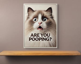 Are you pooping - Cat are you pooping - Are You Pooping Poster - Are You Pooping Cat Print - Cat Printable Bathroom Decor - Ragdoll wall art