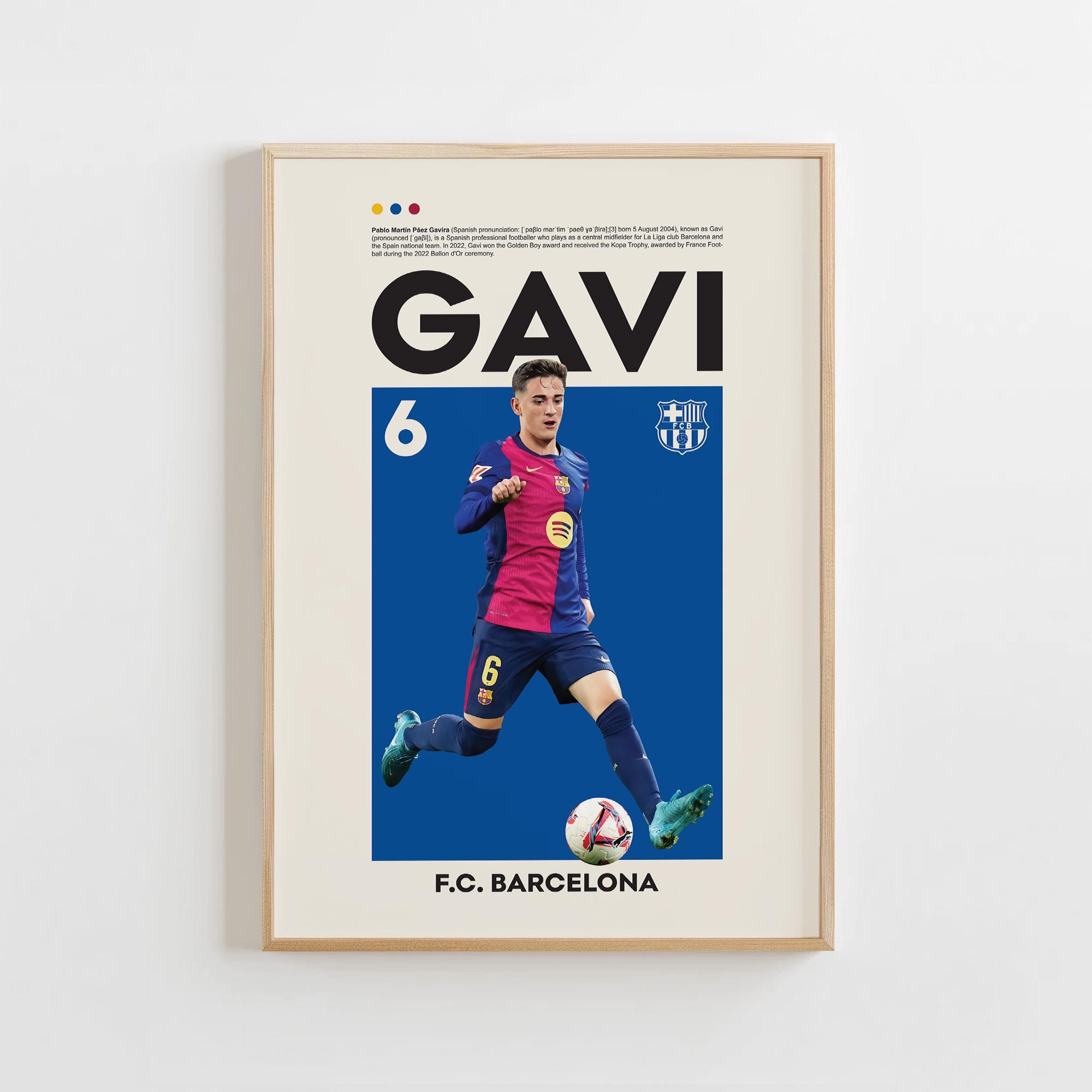 GAVI remarkable memorabilia 14/25｜ゲーム・おもちゃ・グッズ
