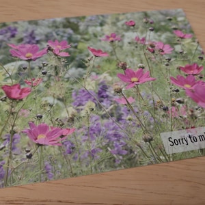 May include: A card with a floral design featuring pink flowers and a message that says "Sorry to miss you".