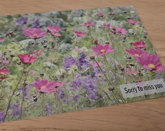 Sorry to miss you - JW Postcards