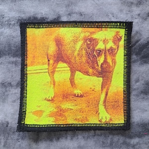 Alice in Chains patch,  grunge, rock