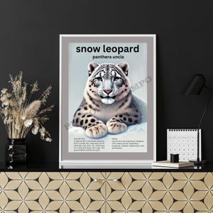 May include: A poster featuring an illustration of a snow leopard, with the scientific name "panthera uncia", and details about the animal's description and range. The snow leopard is white with black spots and is lying on a snowy mountain.