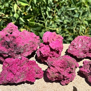 May include: A collection of vibrant, hot pink live rock fragments. The porous, textured rocks vary in size and shape, with hints of green algae. The rocks are arranged on a light-colored surface, with a backdrop of green foliage.