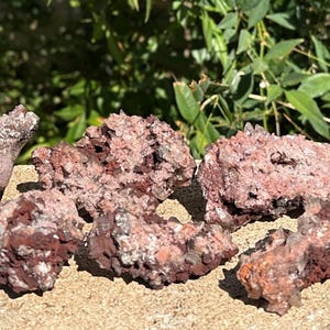 May include: A collection of reddish-brown rocks with a textured, porous surface. The rocks are arranged on a light-colored surface, with green foliage in the background. The rocks have a rough, irregular shape and varying sizes.