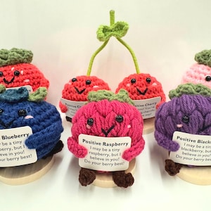 Frutas de crochet positivas, compañero de escritorio de crochet, regalo de crochet de motivación de apoyo emocional, regalo de cumpleaños para ella, regalo de graduación