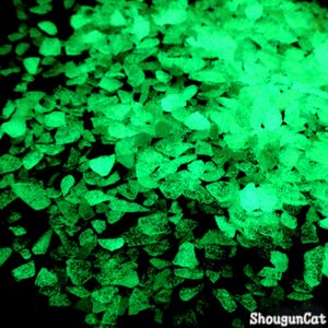 Luminous Cullet Green 10g Glow in the Dark Pigment for Resin Nail Art Decor Crafts eo7478