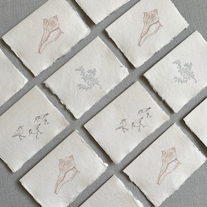 Tarjetas de borde cubiertas - papel hecho a mano, tarjeta de agradecimiento costera, coral, concha, aves marinas, vibraciones de la playa, regalos para ella, juego de cartas, 6 tarjetas dobladas