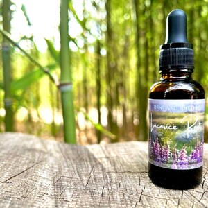 May include: A brown glass bottle with a black dropper top, labeled "Renewed Rhythms Licorice Root." The label features a landscape with purple flowers. The bottle sits on a weathered wooden surface, with a blurred green bamboo forest in the background.