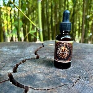 Eleuthero Root | Eleutherococcus senticosus | Adaptogenic Energy & Resilience Support | 1oz Tincture
