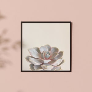 Minimal Succulent Print, Pastel Botanical Wall Art for the Bedroom Pink Succulent image 1