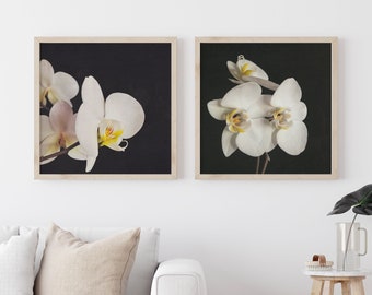 Flower Print Set of 2,  White Flower Art, Orchid Print - Orchids