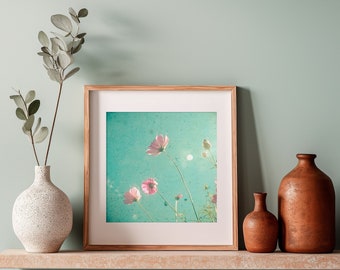 Cosmos Flower Wall Art in Turquoise and Pink - Meadow