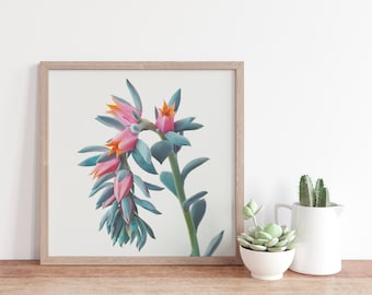 Succulent Print, Succulent Decor, Floral Wall art - Succulent Cluster