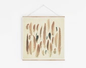 Feather Print, Feather Wall Art, Boho Decor - Gevonden veren
