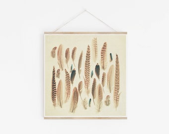 Feather Print, Feather Wall Art, Boho Decor - Found Feathers