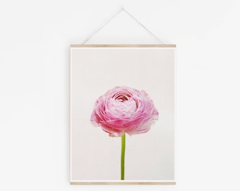 Pink Flower Print, Floral Art, Ranunculus Print - Ranunculus