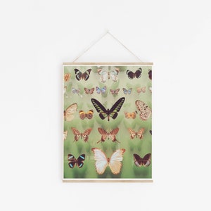 Butterfly Wall Art, Boho Decor, Regalo per lei Farfalle immagine 1