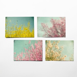 Papelería floral, regalo para ella, postales de flores - Primavera