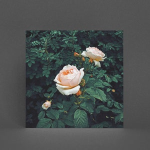 Carte de vœux fleurie, Carte florale - Jardin sombre