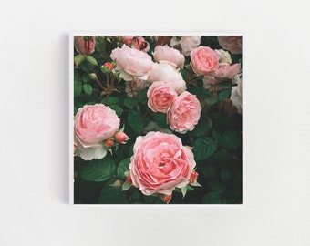 Floral Art Print, Rose Prints - Dark Rose