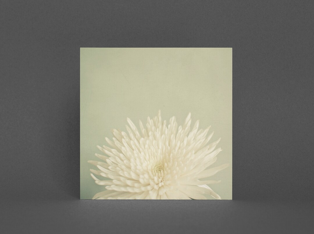 Flower Greeting Card Floral Card Pale Beauty - Etsy