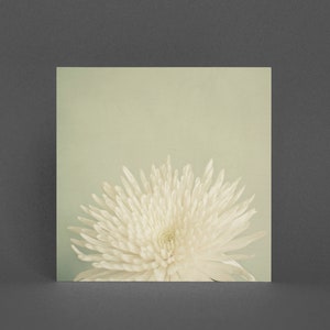 Bloem Wenskaart, Bloemenkaart - Bleke Schoonheid