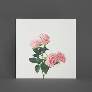 Carte de vœux florale - Rose de printemps