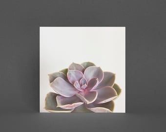 Plant Greeting Card - Purple Succulent