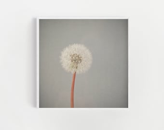 Arte mural de diente de león, estampado floral minimalista: el paso del tiempo