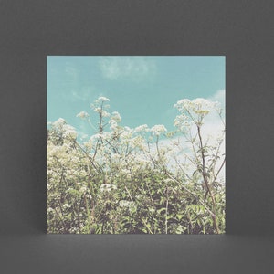 Carte de vœux florale - Mai
