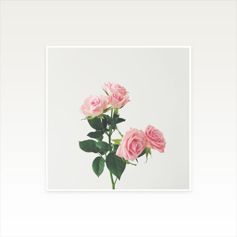 Bedroom Wall Decor, Flower Wall Art, Pastel Pink Decor, Large Wall Art Spring Roses image 3