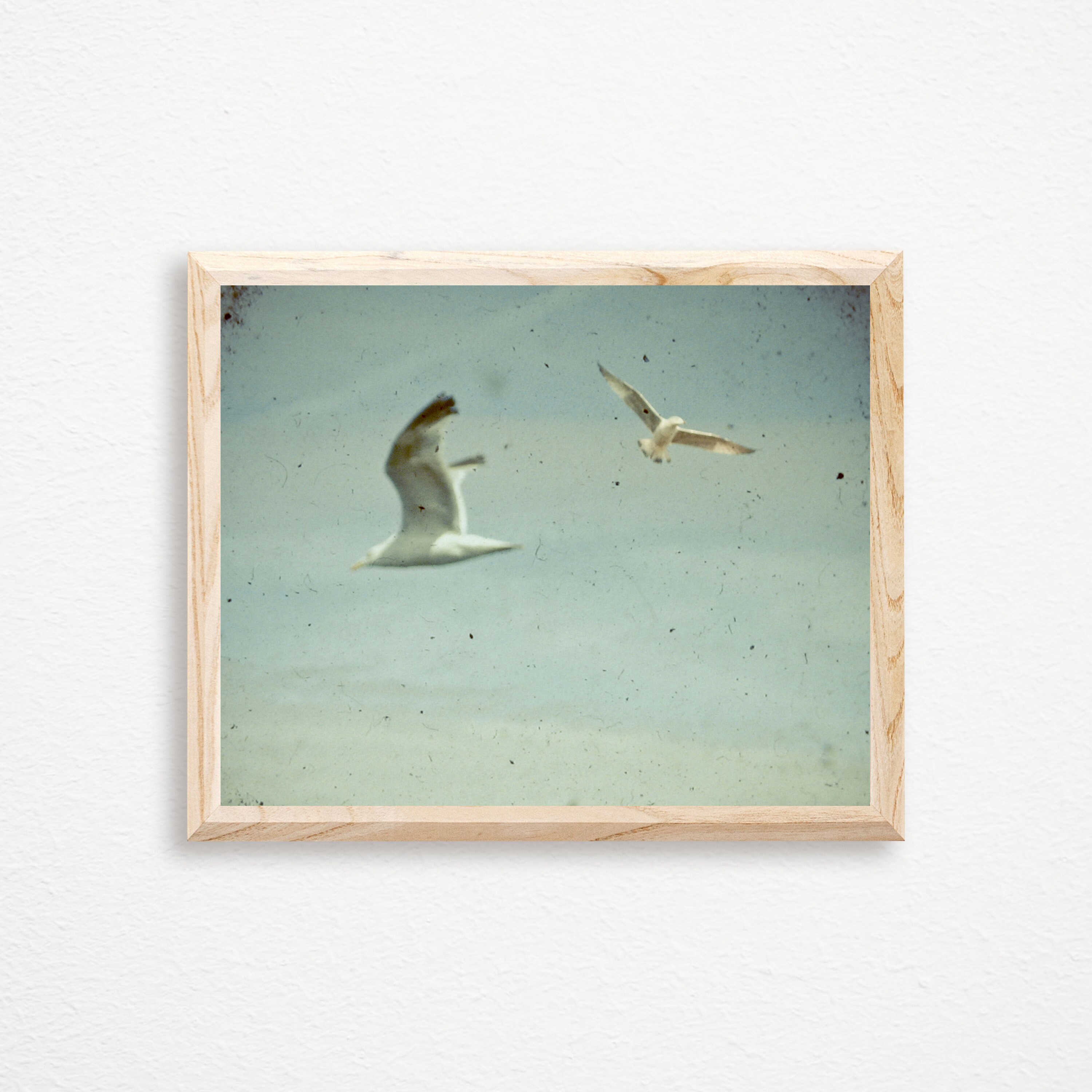 Bird Print Coastal Wall Art Beach House Decor Gulls | Etsy