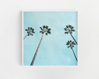 Stampa di palme, decorazioni tropicali, stampe naturali, arte della parete blu - palme torreggianti