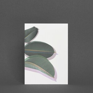 Botanische Grußkarte, Pflanzenkarte - Schatten