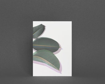 May include: A white card with three green leaves on a white background. The leaves are overlapping and have a light pink hue.