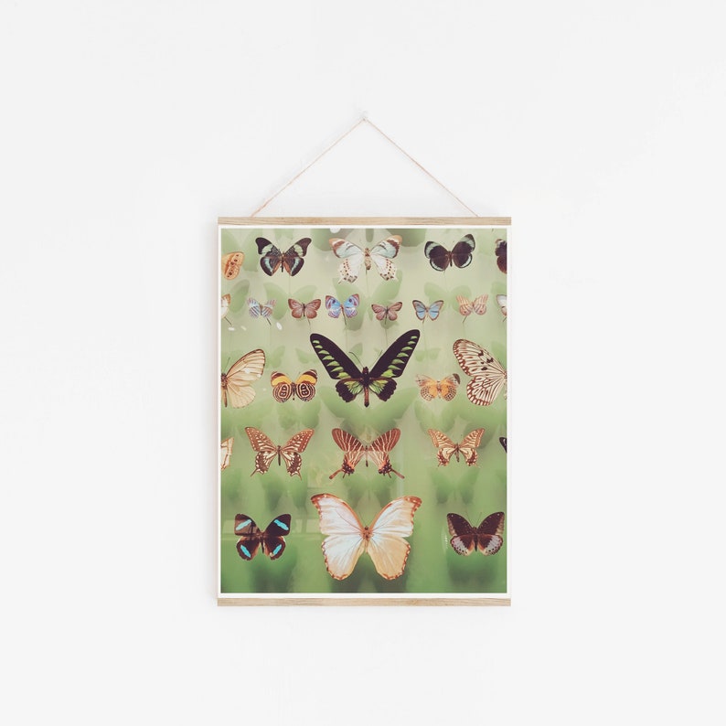 Butterfly Wall Art, Boho Decor, Regalo per lei Farfalle immagine 1
