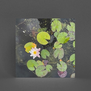 Tarjeta de felicitación con estanque para amantes de la naturaleza: hojas de nenúfar