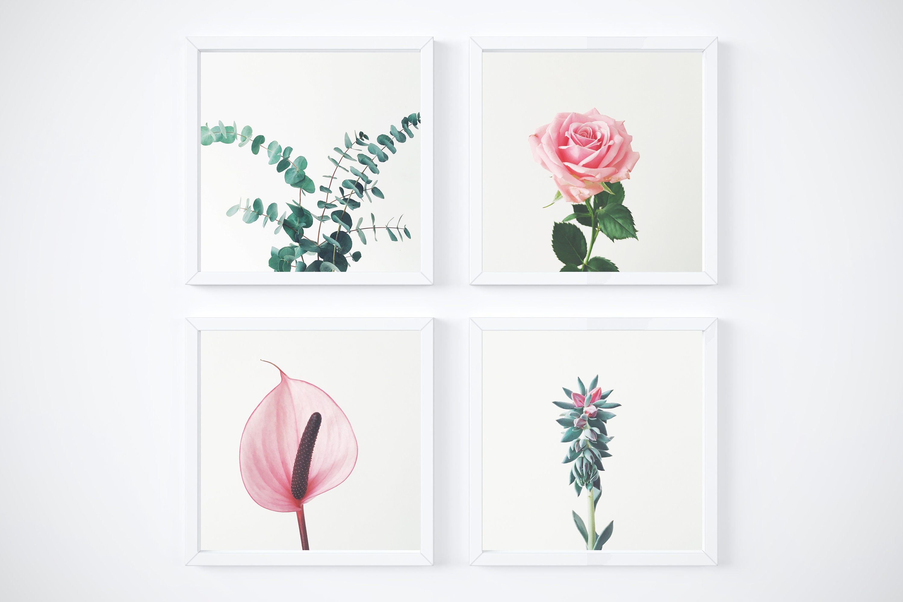 Botanical Print Set of 4: Floral Wall Art, Pink & Green - Etsy